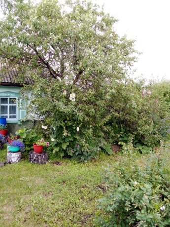 Продажа дома<br /> по адресу д. Усовка, д. Усовка, ул. Дачная