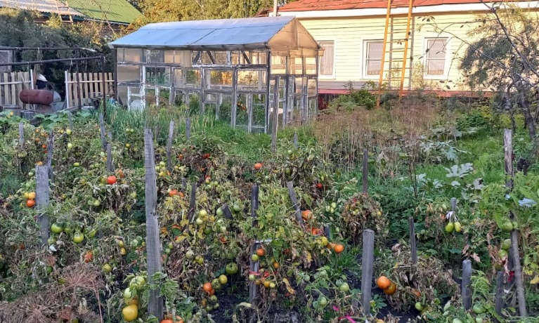 Продажа дома<br /> по адресу г. Омск,  ул. Кропоткина