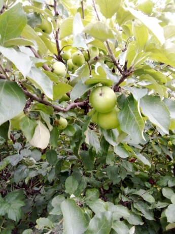 Продажа дома<br /> по адресу д. Усовка, д. Усовка, ул. Дачная