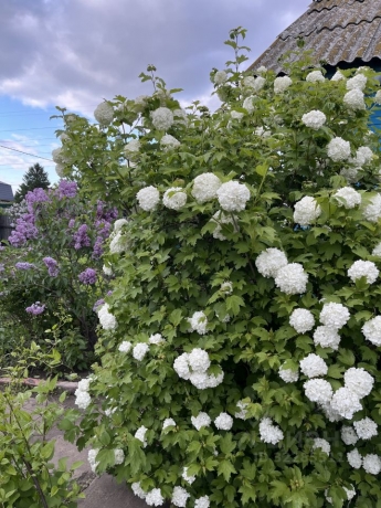 Продажа дачи<br /> по адресу г. Омск,  дп. сдт Рассвет (САО)