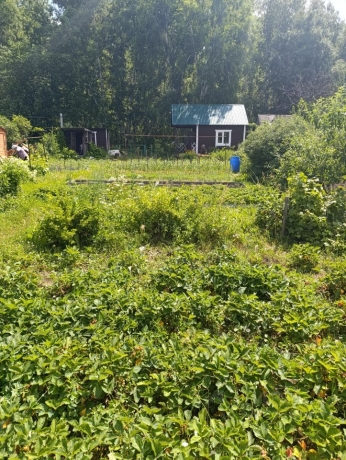 Продажа дома<br /> по адресу г. Омск,  дп. сдт Механизатор-2 (ОАО)