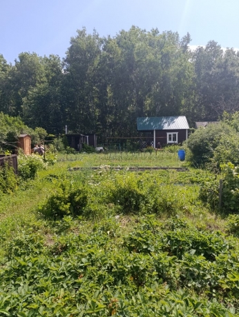 Продажа дома<br /> по адресу г. Омск,  дп. сдт Механизатор-2 (ОАО)