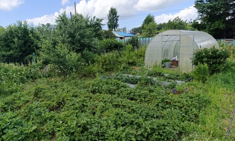 Продажа дома<br /> по адресу г. Омск,  дп. сдт Механизатор-2 (ОАО)