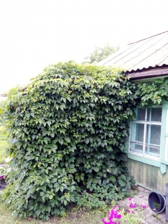 Продажа дома<br /> по адресу д. Усовка, д. Усовка, ул. Дачная