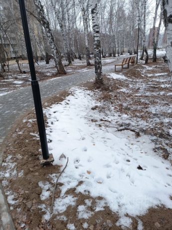 Продажа квартиры 1-комн.<br /> по адресу г. Омск,  ул. Волгоградская, 46