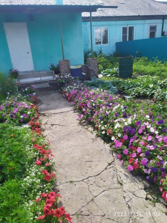 Обмен или продажа дома<br /> по адресу 644513 с. Надеждино, с. Надеждино, ул. Центральная, 1Б