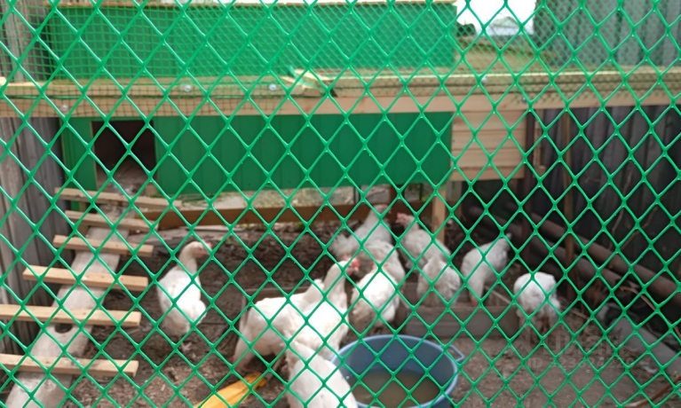 Продажа дачи<br /> по адресу г. Омск,  дп. сдт Ромашка (ЦАО1)