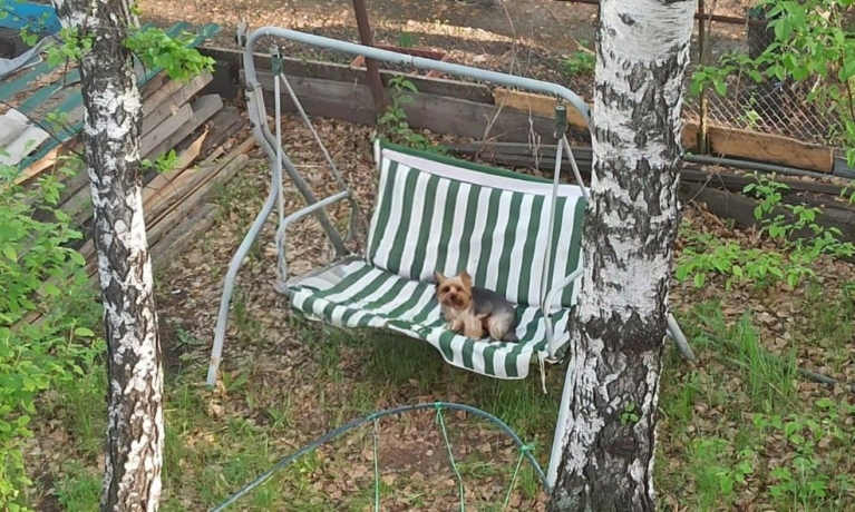 Продажа дачи<br /> по адресу г. Омск,  дп. сдт Юбилейный (КАО)