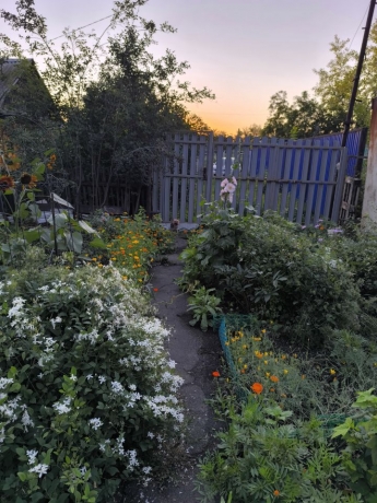 Продажа дачи<br /> по адресу г. Омск,  дп. сдт Юбилейный (КАО)