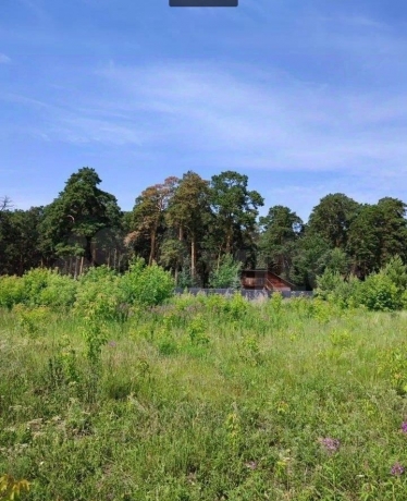 Продажа участка<br /> по адресу с. Новотроицкое, с. Новотроицкое, 