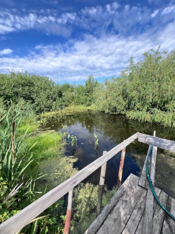 Продажа дома<br /> по адресу д. Выборненовка, д. Выборненовка, 