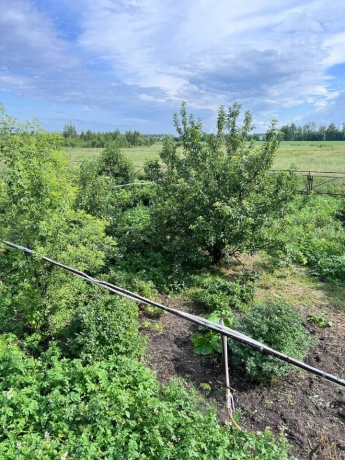 Продажа дома<br /> по адресу д. Выборненовка, д. Выборненовка, 