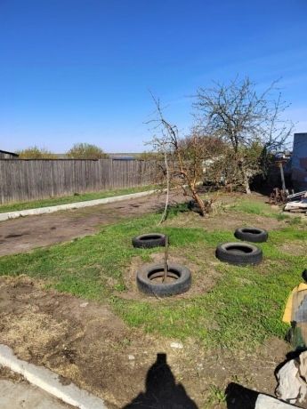 Продажа дома<br /> по адресу с. Заречное, Нововаршавский р-н, с. Заречное, ул. Набережная, 21