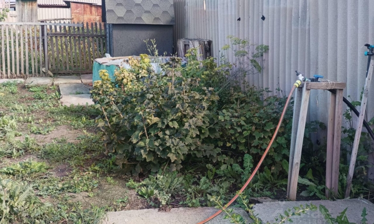 Продажа участка<br /> по адресу ст. Русская Поляна, ст. Русская Поляна, 