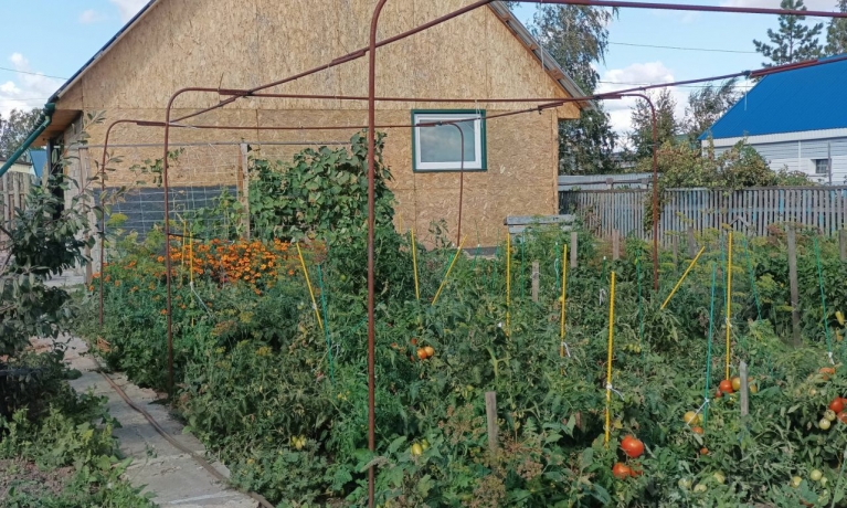 Продажа участка<br /> по адресу ст. Русская Поляна, ст. Русская Поляна, 