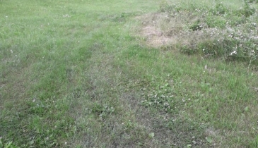 д. Березовка, Горьковский р-н, д. Березовка, 