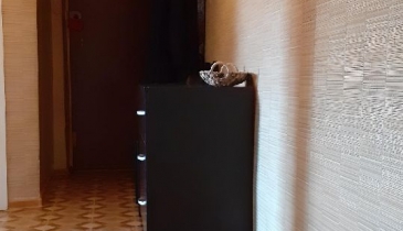 г. Омск,  ул. Иртышская Набережная, 15