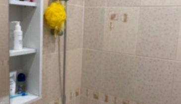 г. Омск,  ул. Дмитриева, 11