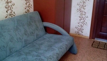г. Омск,  ул. П.Ильичева, 2