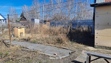 г. Омск,  дп. сдт Юбилейный (КАО)