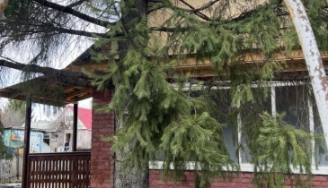 г. Омск,  дп. сдт Тепличный-2 (ЛАО)