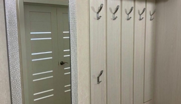 г. Омск,  ул. Дмитриева, 11