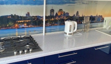 г. Омск,  ул. Дмитриева, 11