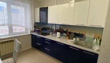 г. Омск,  ул. Дмитриева, 11