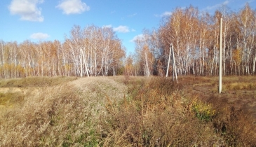 с. Красноярка, Омский р-н, с. Красноярка, 
