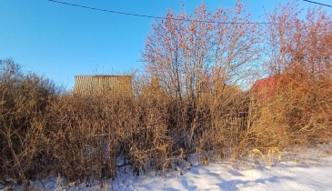 г. Омск,  дп. сдт Урожай-1 (ОАО)