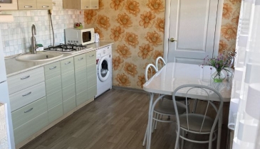 с. Иртыш, Черлакский р-н, с. Иртыш, ул. Чапаева