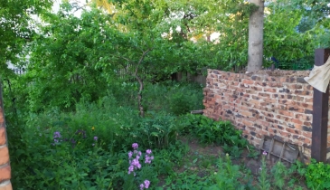 г. Омск,  дп. сдт Березка (ЦАО1)