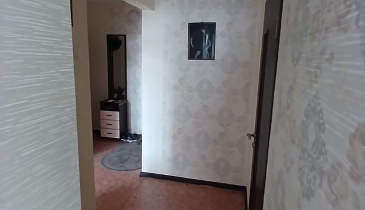 г. Омск,  ул. Димитрова, 67 к1