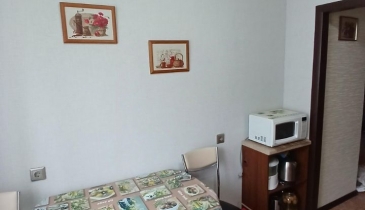 г. Омск,  ул. Димитрова, 67 к1