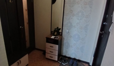 г. Омск,  ул. Димитрова, 67 к1