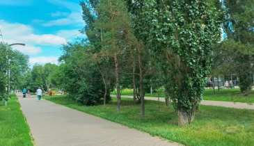 г. Омск,  ул. Степанца, 10