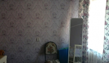 д. Алексеевка, Марьяновский р-н, д. Алексеевка, ул. Новая