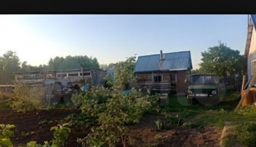 д. Шандровка, д. Шандровка, ул. Пролетарская