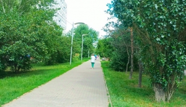 г. Омск,  ул. Степанца, 10