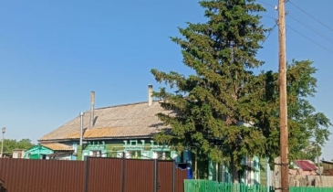с. Георгиевка, Кормиловский р-н, с. Георгиевка, 