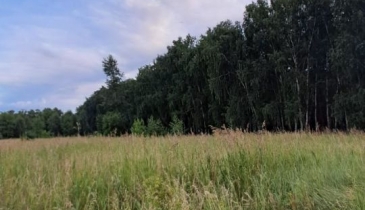 с. Усть-Заостровка, с. Усть-Заостровка, ул. 6-я Северная