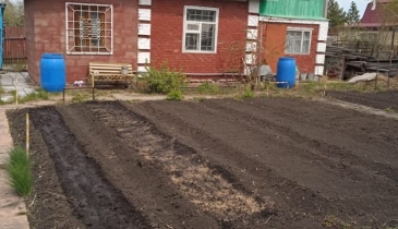 г. Омск,  дп. сдт Радуга-1 (ОАО)