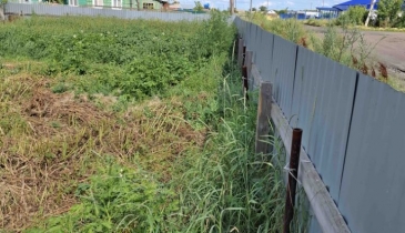 с. Николаевка, Черлакский р-н, с. Николаевка, ул. Новая, 5