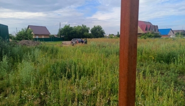 с. Красноярка, Омский р-н, с. Красноярка, ул. Новая