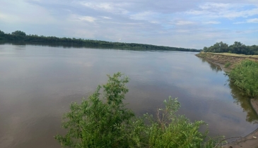 с. Красноярка, Омский р-н, с. Красноярка, ул. Новая