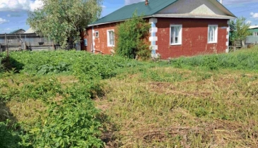 с. Николаевка, Черлакский р-н, с. Николаевка, ул. Новая, 5