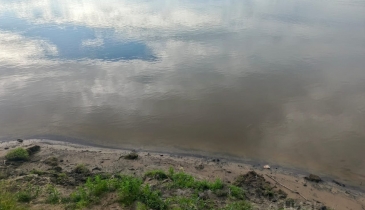 с. Красноярка, Омский р-н, с. Красноярка, ул. Новая