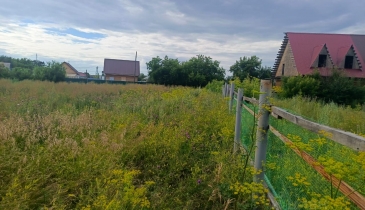 с. Красноярка, Омский р-н, с. Красноярка, ул. Новая