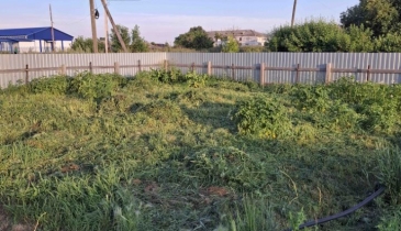 с. Николаевка, Черлакский р-н, с. Николаевка, ул. Новая, 5