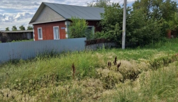 с. Николаевка, Черлакский р-н, с. Николаевка, ул. Новая, 5